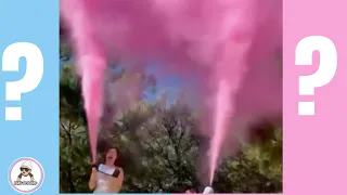 10 Creative Gender Reveal Ideas (2021)