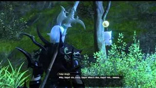 Let´s Play Final Fantasy XIV 007 Whispers in the wood 02.wmv
