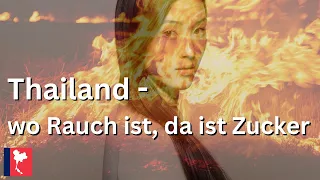 Husten, Atemnot, brennende Augen: Die Folgen der Luftverschmutzung durch Zuckerrohr in Thailand