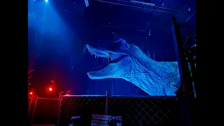 Ein Besuch im Jurassic World: The Exhibition in Köln