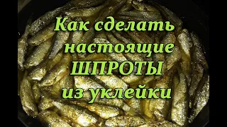 Как приготовить настоящие шпроты из уклейки . Лучший рецепт !