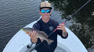 How to catch redfish on cane poles in Tampa Bay, Crazy New Technique!!!