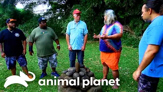 Bigfoot Researchers Learn About The Hawaiian Menehune! | Finding Bigfoot | Animal Planet
