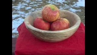 The moldy fruit bowl