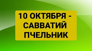 10 октября - Савватий Пчельник. Традиции и обряды. Приметы.