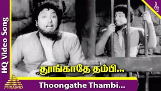 Thoongathe Thambi Video Song | Nadodi Mannan Movie Songs | MGR | Saroja Devi | Bhanumathi | Nambiar