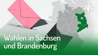 Wahlen in Sachsen und Brandenburg | DHV-News #215