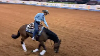 Nutrena Ride the Pattern Clinic: Reining