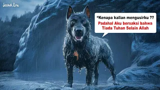 Ketika Anjing Ashabul Kahfi Berbicara Bahasa Manusia, dan inilah yang dia katakan . . .