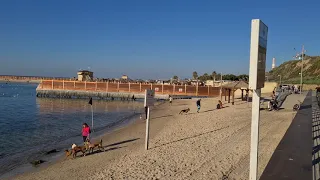 The Dog Beach, Tel Aviv Israel – Beach for loose dogs!