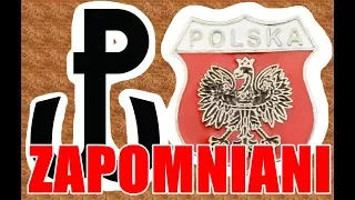 10 ZAPOMNIANYCH POLSKICH BOHATERÓW