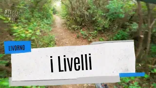 i LIVELLI trail / mtb enduro Livorno / Youtube