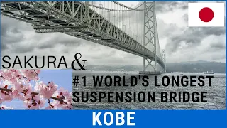 The Longest Suspension Bridge in the World (Kobe, Japan) | Cherry Blossoms | Sakura