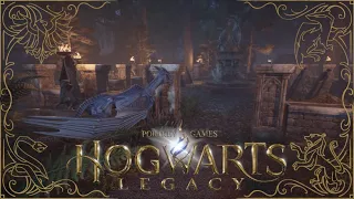 Hogwarts Legacy | Vivarium Tour (No Mods) | Cemetery in the dark forest