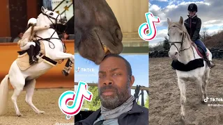 The Best HORSE TikTok Compilation #81