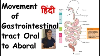 Oral to Aboral Movements of GIT | Gastrointestinal or Alimentary Tract Motility