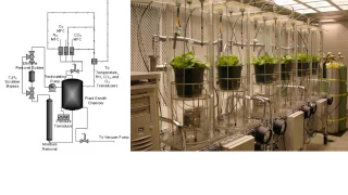 The Biology of Growing Plants Under Low Pressure (Hypobaric) Systems for NASA