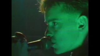 New Order - Everything's Gone Green (Live in New York City 1981)