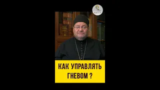 КАК УПРАВЛЯТЬ ГНЕВОМ ?  Практический совет. Протоиерей Олег Стеняев. Экзегет #shorts