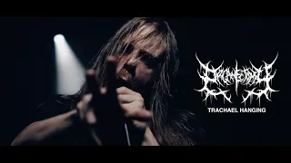 Organectomy - Tracheal Hanging (OFFICIAL VIDEO)