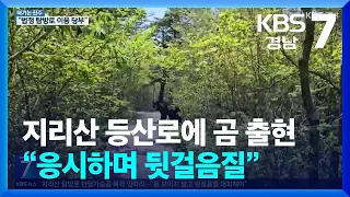 [여기는 진주] 지리산 등산로에 곰 출현…“응시하며 뒷걸음질” / KBS  2024.05.27.