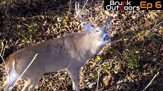 BOWHUNTING THE IOWA RUT