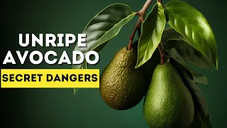 Green Avocado WARNING - The Surprising Side Effects You Never Knew