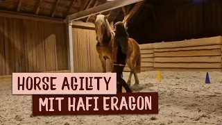 HORSE AGILITY | Aline & Eragon