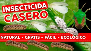 🔥100% NATURAL FREE and EASY🐛 Homemade Insecticide For Plants - Organic Orchard and Garden