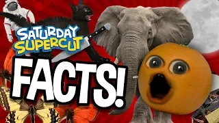 100 Facts That Will BLOW YOUR MIND!!! (Saturday Supercut)