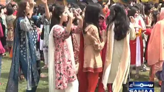 Spring festival in my college