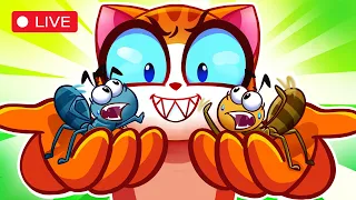 Don't Play with Ants Song 🐜 Kids, Play Safe! Cute Cat Cartoons with Purr-Purr Live