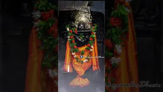 krushna mora dhana krushna mo jibana