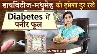 Diabetes में पनीर फूल / पनीर डोडा || डायबिटीज-मधुमेह को हमेशा दूर रखे