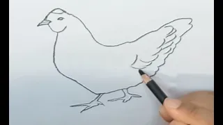 How to Draw a Hen easy @APDRAWING !! Как Нарисовать  Курицу