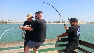 Fisherman Lands 150lb Beast at The Pier!