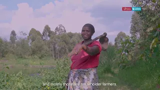 Healthy Birds, Clean Water  Restoring Rwanda’s Wetlands