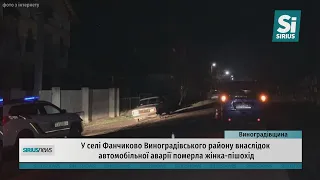 У селі Фанчиково Виноградівського району внаслідок автомобільної аварії померла жінка-пішохід