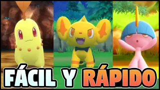 NUEVO MEJOR MÉTODO SHINY HUNTING | GUÍA POKERADAR POKÉMON DIAMANTE BRILLANTE Y PERLA RELUCIENTE