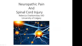 SCILS Webinar Episode 12 - Neuropathic Pain and Spinal Cord Injury