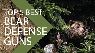Top 5 Best Bear Defense Guns