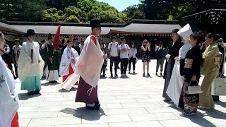 明治神宮 神前式 参進の儀