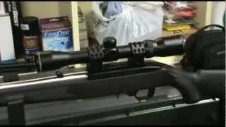 Ruger 10/22 Project Mounting the Scope