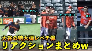 少年のようなリアクションが最高w 大谷翔平の特大ホームランを見たチームメイト、観客の反応をまとめてみた！2023年【現地映像】WBC2023侍ジャパン・エンゼルス