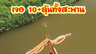 ไซส์ 10+ มา ว้าวุ่นทั้งสะพาน