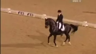 Лучшее в выездке!  BEST DRESSAGE