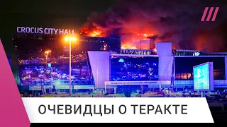 «Жизнь превратилась в ад»: очевидцы о теракте в «Крокус Сити Холле», где погибли более 150 человек