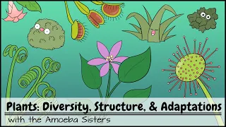 Plants: Diversity, Structure, & Adaptations