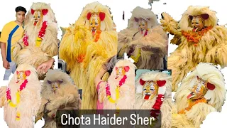 Chota Haider blog Muharram sher indore 2023
