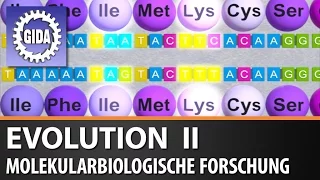 Trailer - Evolution II - Molekularbiologische Forschung - Biologie - Schulfilm